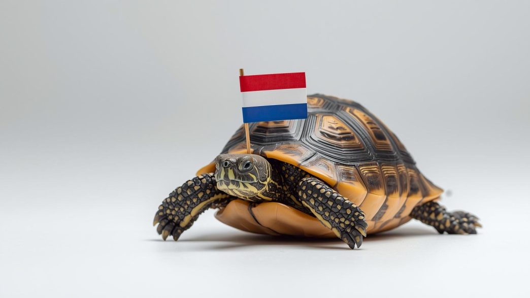 Dutch Economic Outlook March 2026: What Founders Need to Know About Margins, Hiring, and Cash Flow